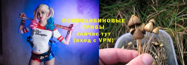 прущая мука Абаза