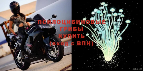прущая мука Абаза