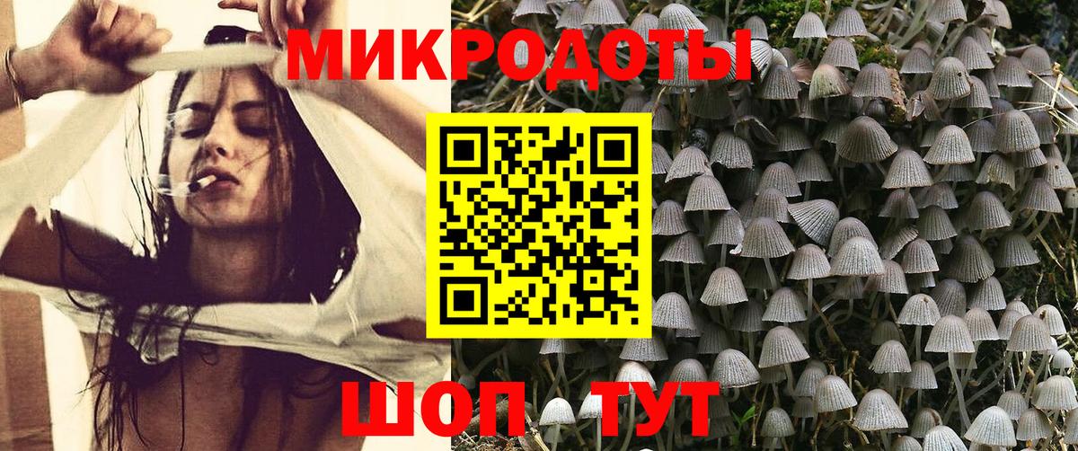 Галлюциногенные грибы Psilocybe  Вход с VPN  Псилоцибиновые грибы GOLDEN TEACHER  Абинск 